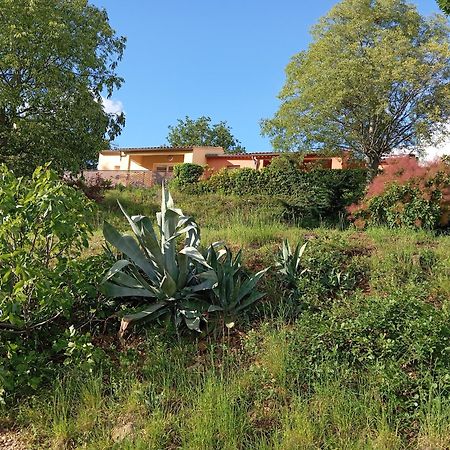 Le Moulin Villa Vallon-Pont-dʼArc Екстериор снимка